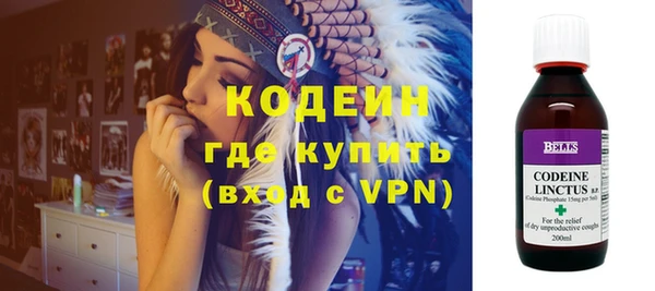 шишки Абаза
