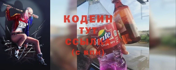 шишки Абаза