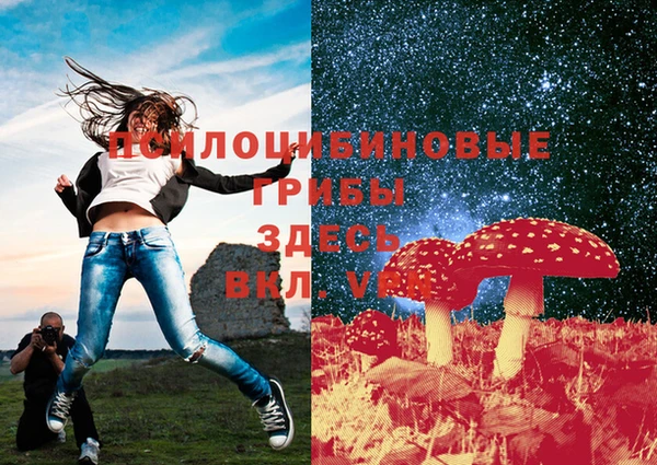 шишки Абаза
