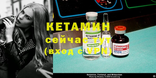 шишки Абаза
