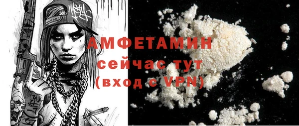 шишки Абаза