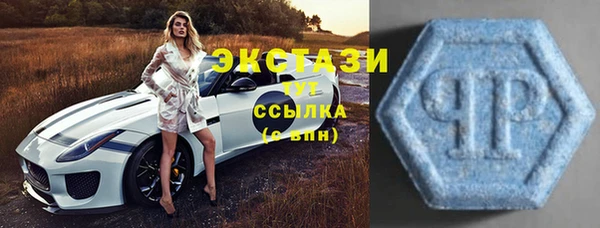 шишки Абаза