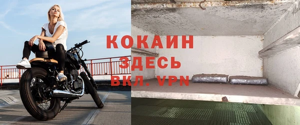шишки Абаза