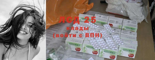 шишки Абаза