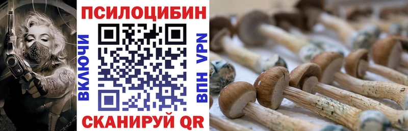 где можно купить наркотик  Мегион  Галлюциногенные грибы Psilocybine cubensis 