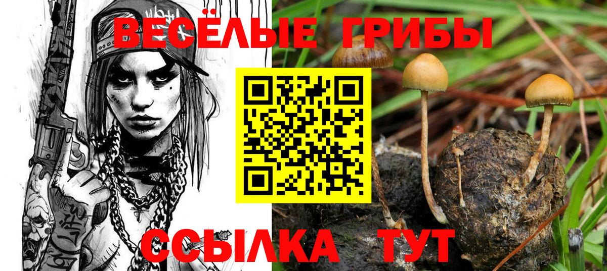 Мегион  наркотики  Вход с VPN  Псилоцибиновые грибы Psilocybine cubensis 
