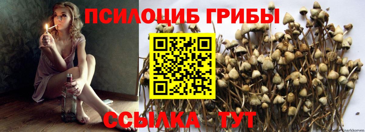 Галлюциногенные грибы ЛСД Мегион